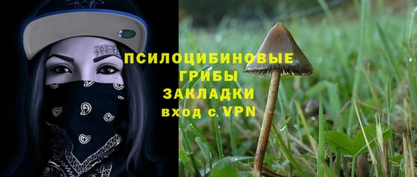 гидропоника Михайлов