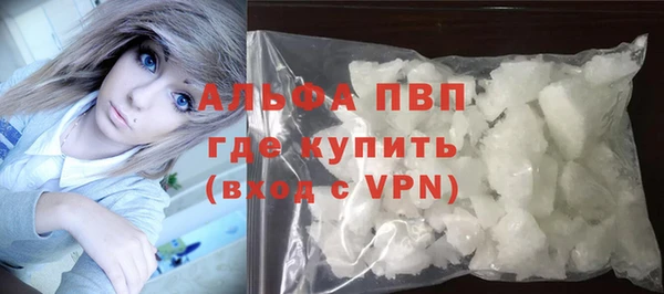 стаф Надым