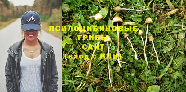 дмт Михайловск