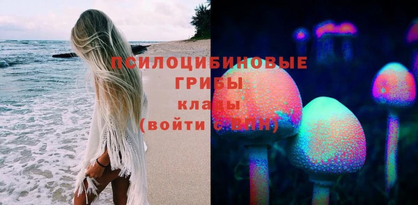 прущие грибы Билибино
