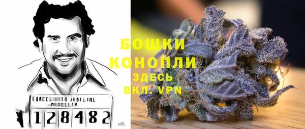 стаф Надым